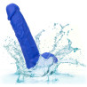 Admiral Gode vibrant Admiral 14 x 3.7 cm Bleu